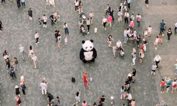 How CallApp Sets You Apart From Others