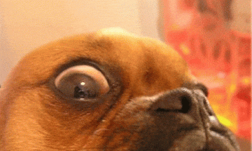 6 Hilariously Relatable Reactions When Your Profile Has Been Viewed